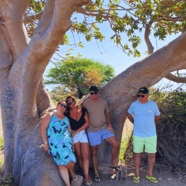 thumb-boa-vista-island-cape-verd-by-ralopes-tours (10)